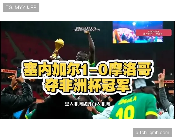 塞内加尔国家队，非洲杯表现稳健，团队攻防均衡度有所提升